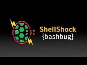 Shellshock Bash Bug